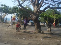 /album/dili-/a04-dili-55-jpg/